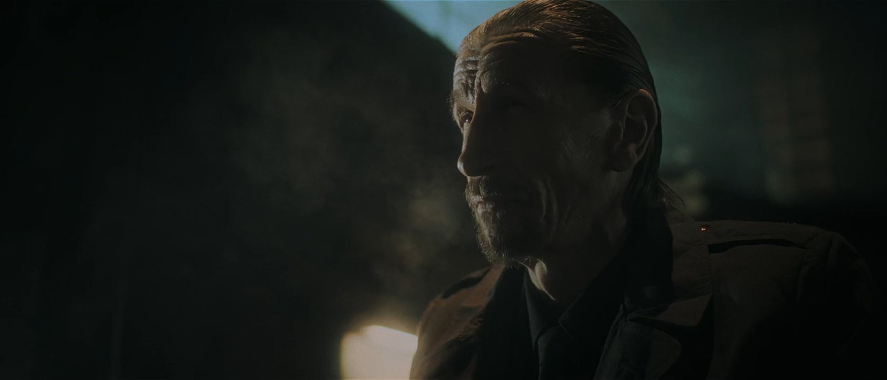 Carnage 2024 WebRip [Hindi + Tamil + Telugu + English] 480p, 720p ESub Screenshot