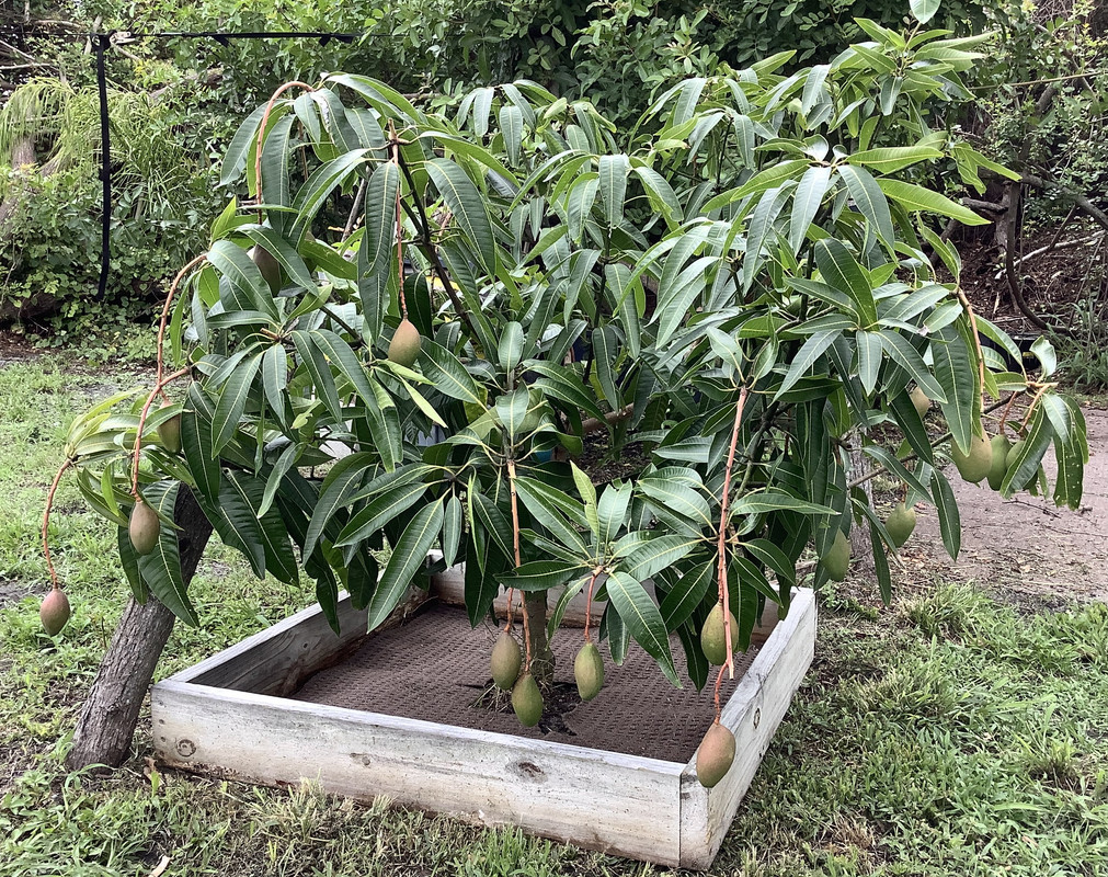 ADEBAAB0-28F1-488C-A7D1-BF395F3D63E0