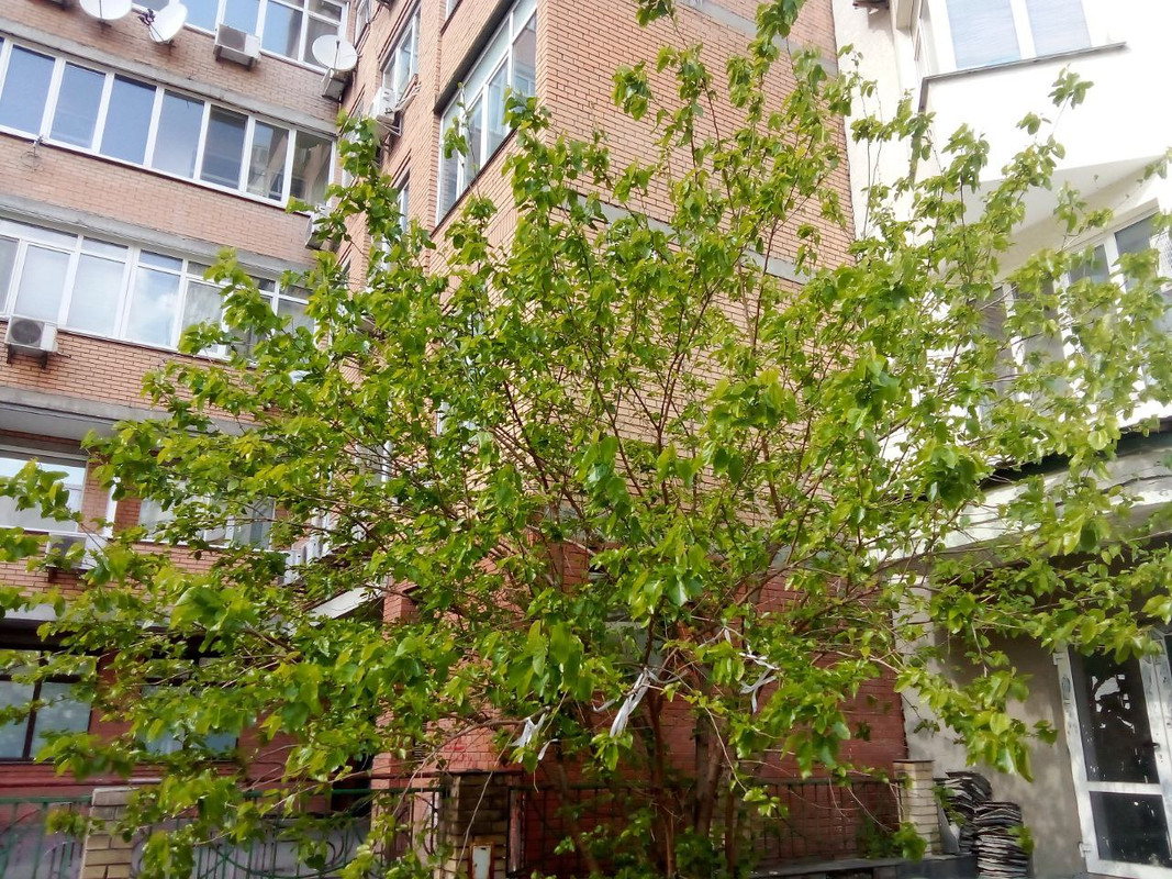 photo_2025-05-17 10.03.28 дп