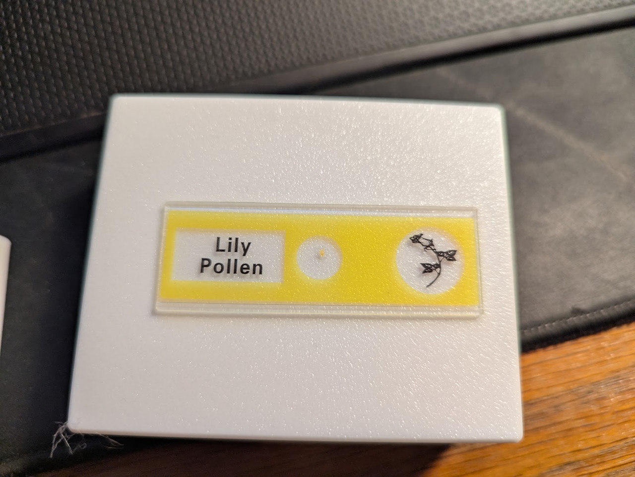 PXL 20251209 205142165