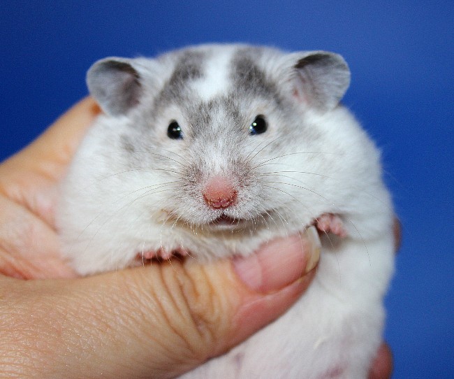 Арктика 21.04.22-01