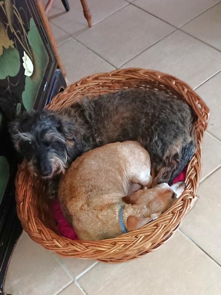 [Image: DSC-4320.jpg]