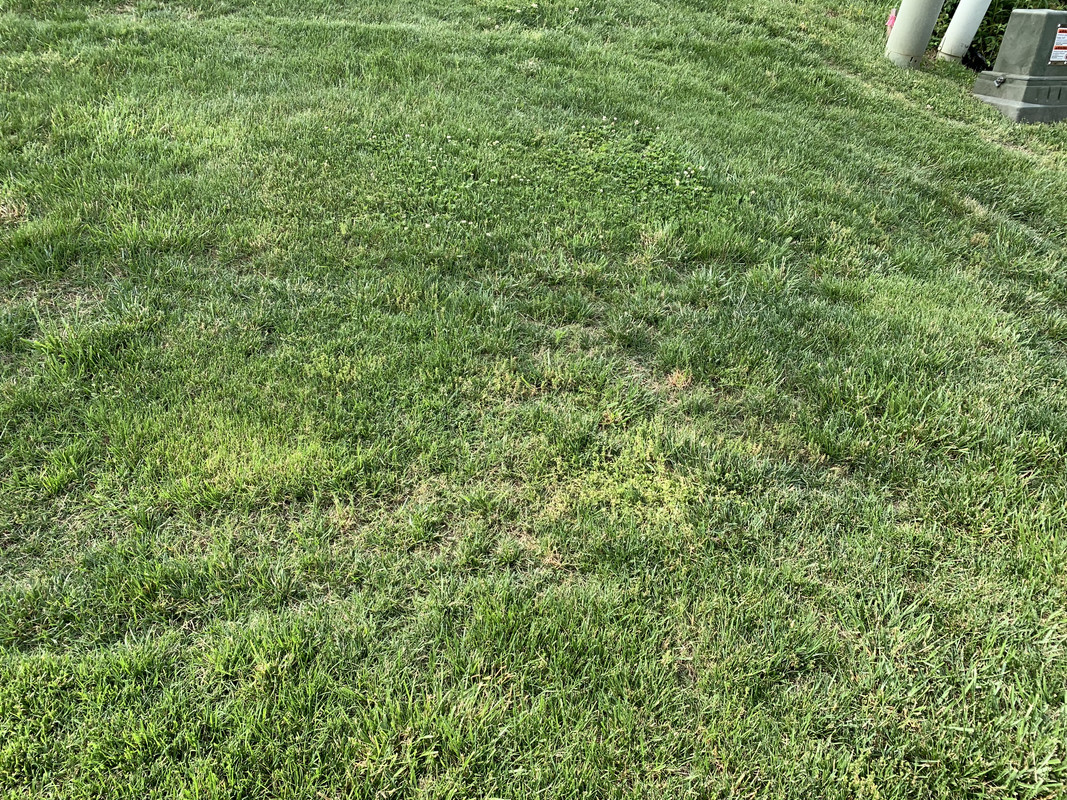 4746E53B-DB33-47A3-ABB3-C5992A89FECE