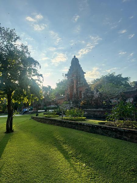 6 Aviones, 3 barcos y 2 trenes, empezando en Estambul y terminando Kuala Lump - Blogs de Indonesia - TERCERA PARADA: BALI (103)