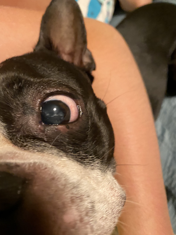 FCCF3FC7-3923-4D2C-89E1-02E5ECD25938