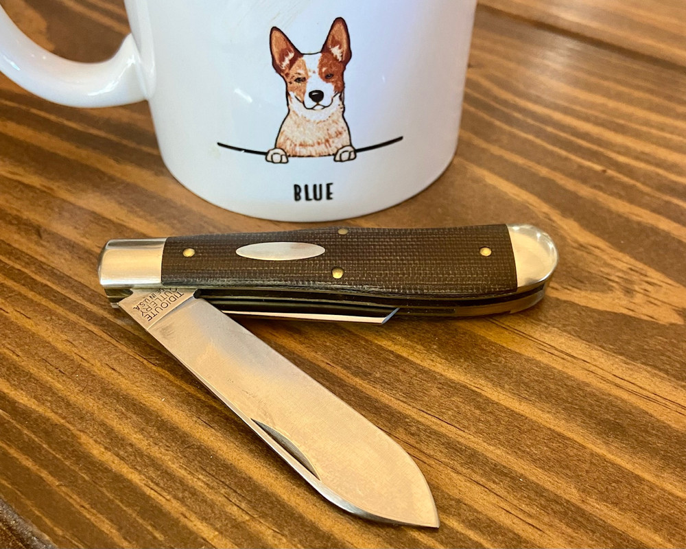 5F503126-003A-4114-BC24-56874303A62A