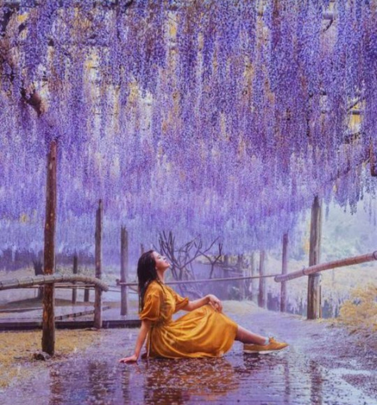 Screenshot_20240603_225015_Pinterest