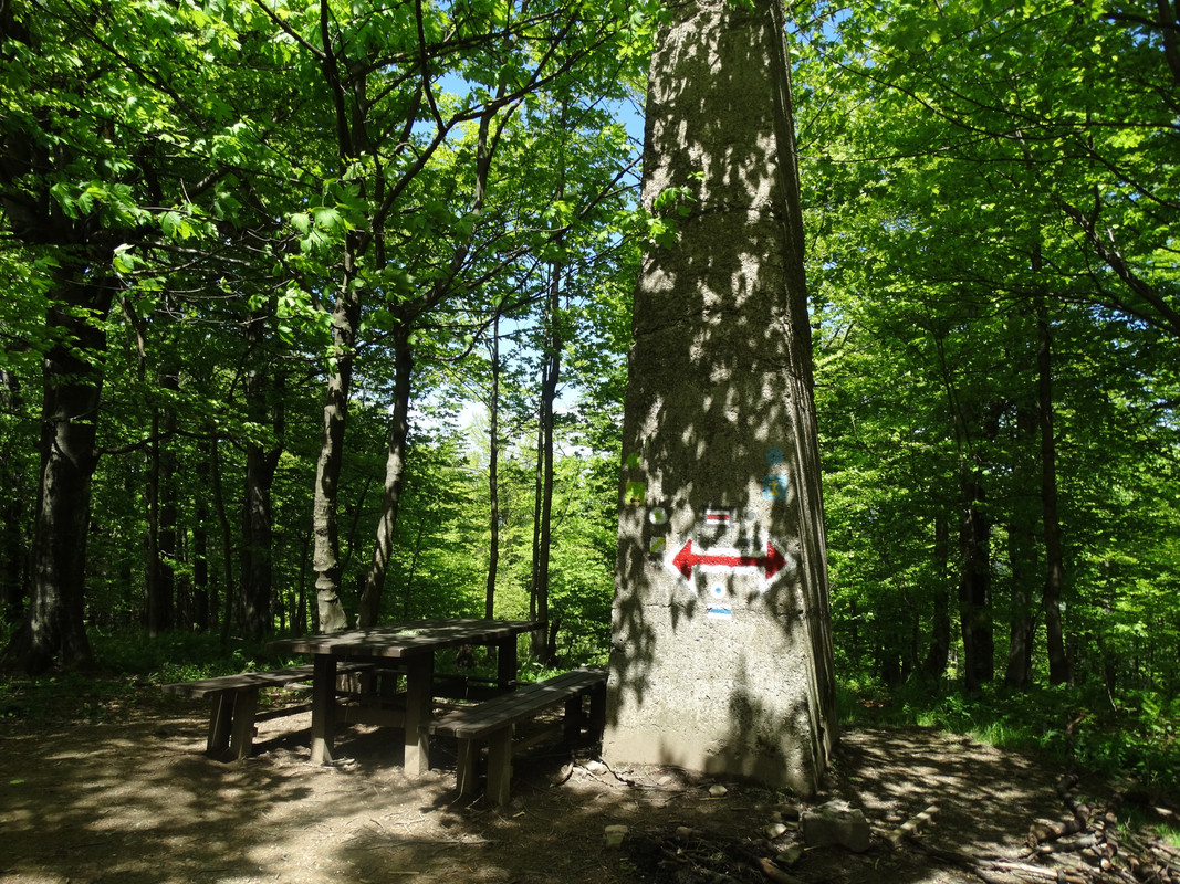 019 - DSC00739 (Hanka)