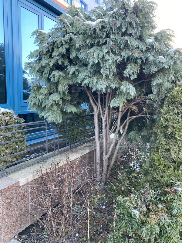 33A28D07-C6A7-4116-8F6F-50A451424554