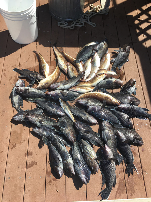 40E0DA87-91D0-4E86-A2B6-3294F75DD2D6