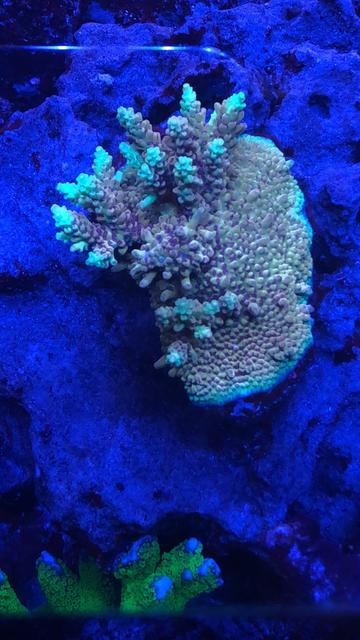 A02A88F4-F4F1-4CA0-9CC3-A25CF681BBE4