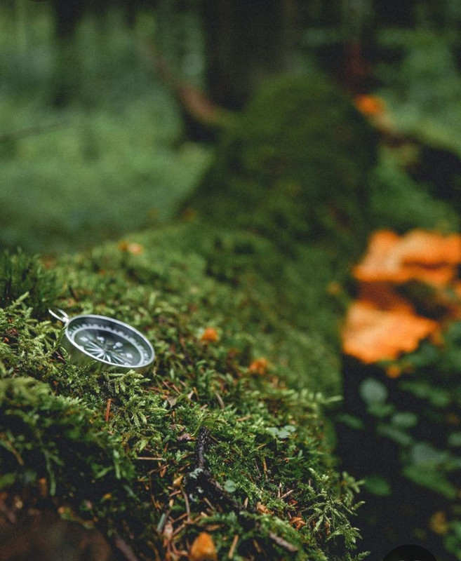 Screenshot_20231222_175706_Pinterest