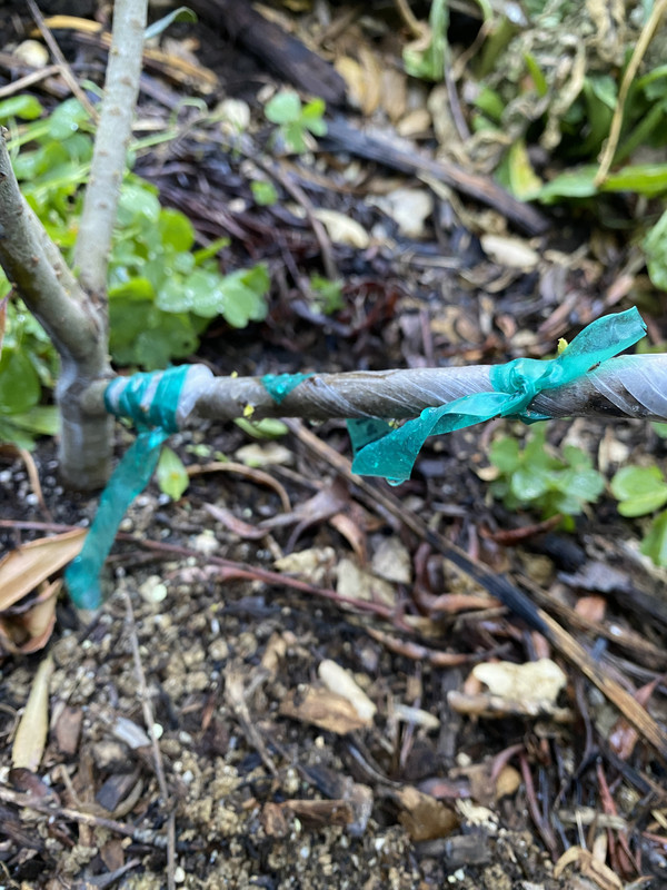 B5DD044E-B610-455F-8446-E7EC6971C8B7