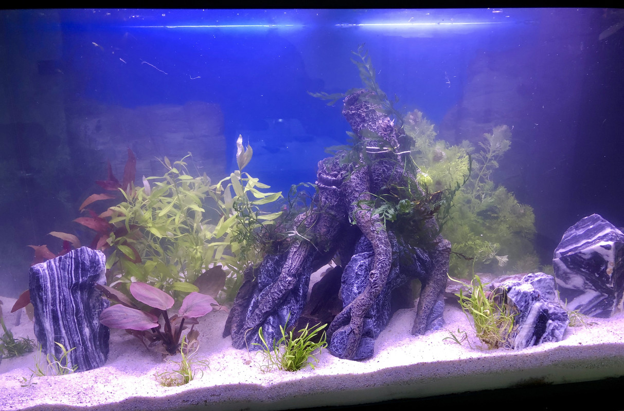 E7A8AEBE-50A7-4DE2-A504-998D7CE1F7E3