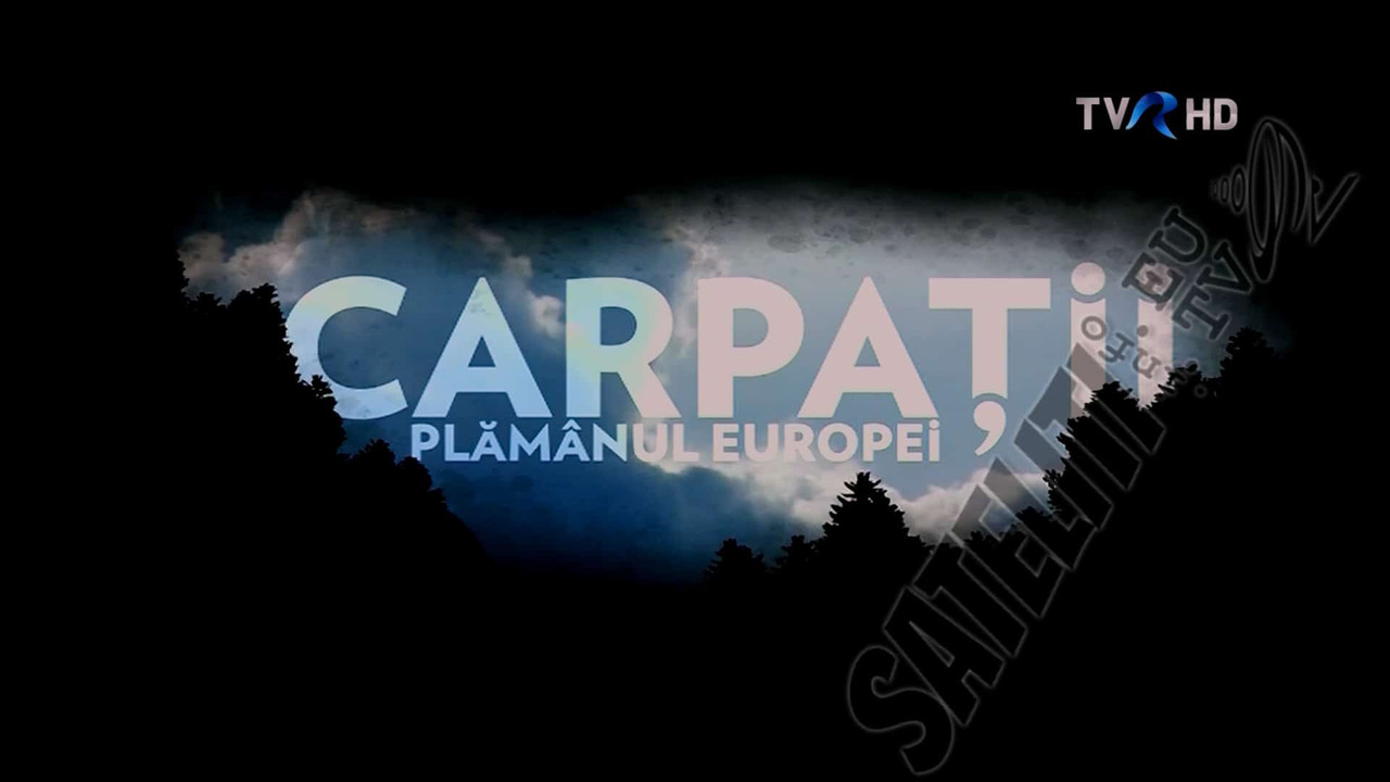 screen(8)capture-142