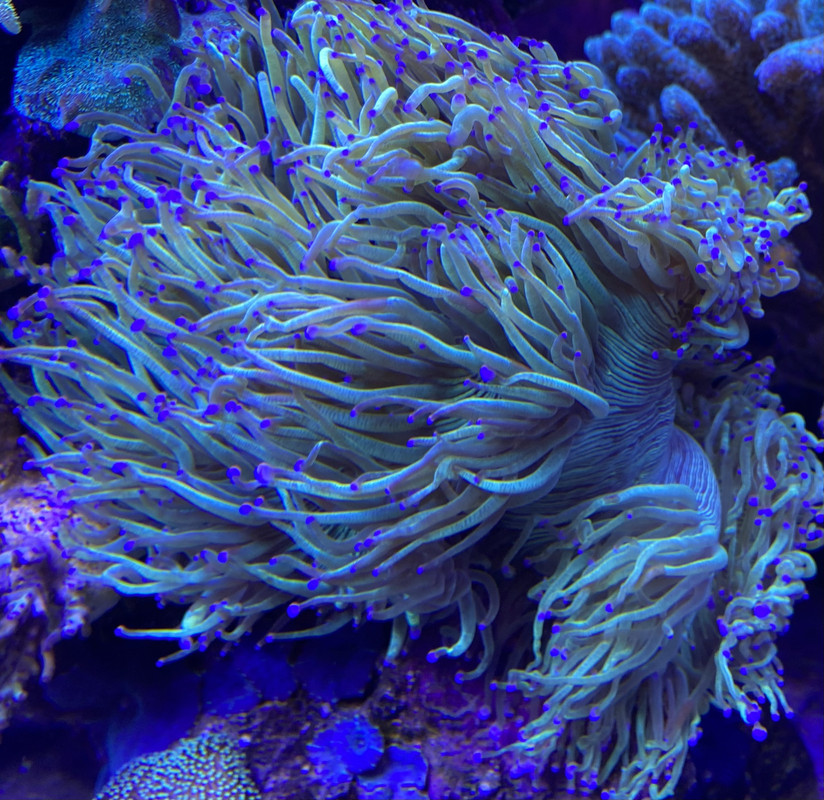 DAE48071-6798-48E6-86DB-2801CA528819