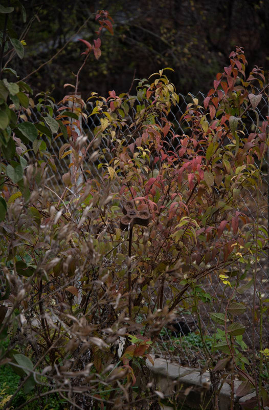 IMG-fed01a0cc87204416f29ae425d9d1e78-V