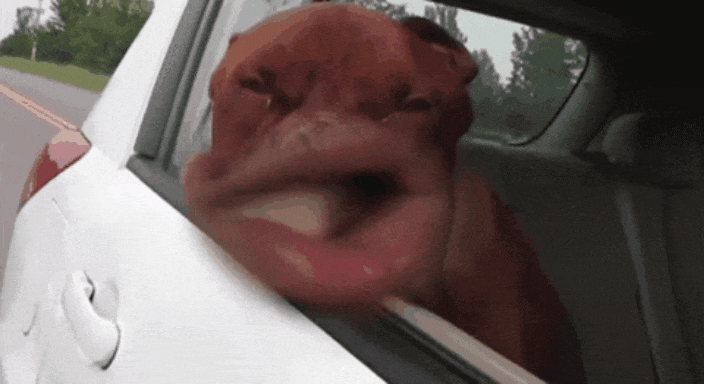 GIF-20250515-091554-422.gif
