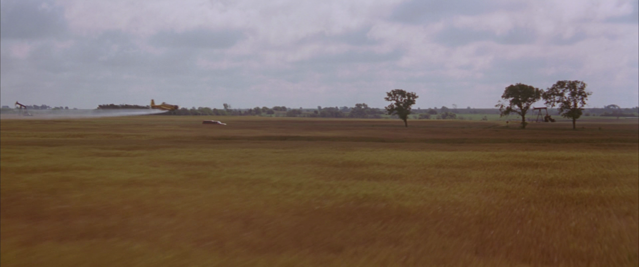 vlcsnap-2018-08-22-18h31m04s439