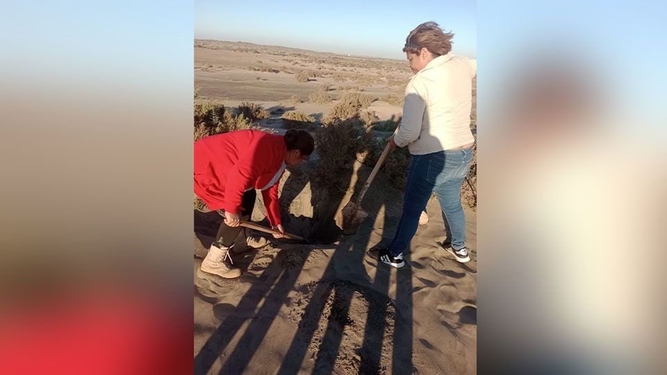 Buscadoras Huatabampo encuentran cráneo humano tras jornada de rastreo el fin de semana