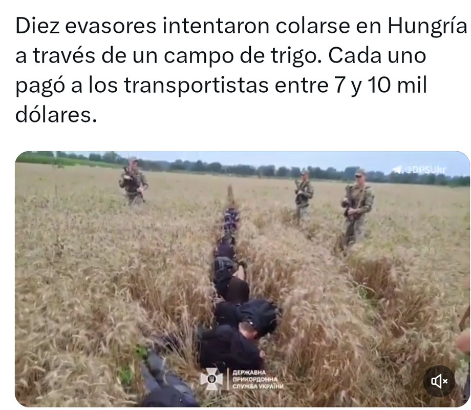 Screenshot_2024-07-03-18-38-11-309_com.twitter.android-edit