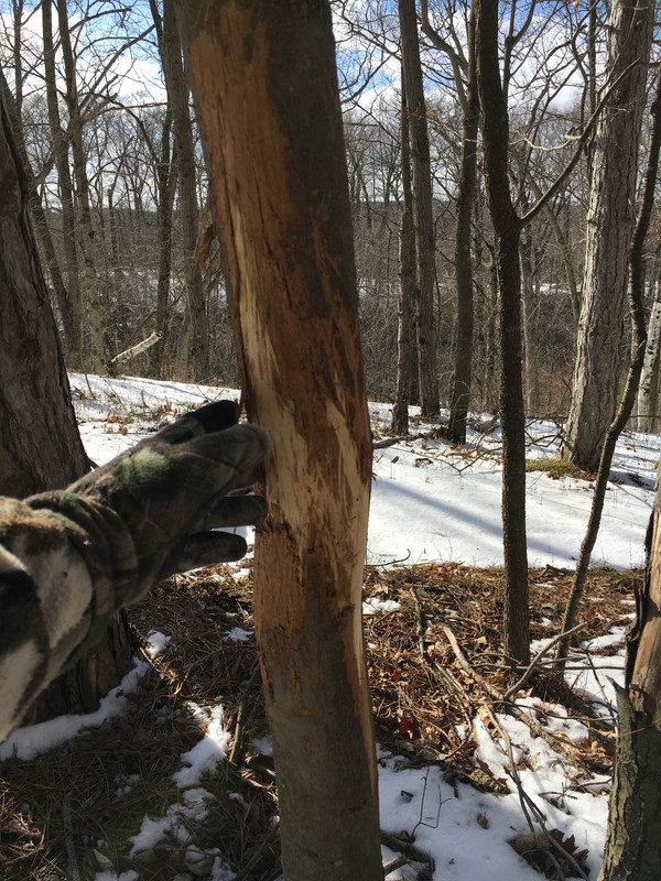 A0747FE8-BA6F-4539-BE5B-E85C41C7B051