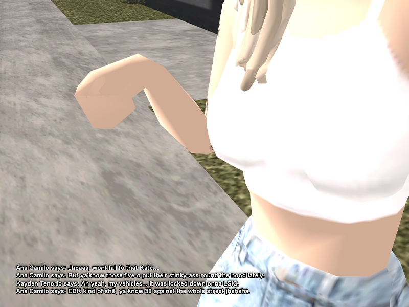 SS2.png