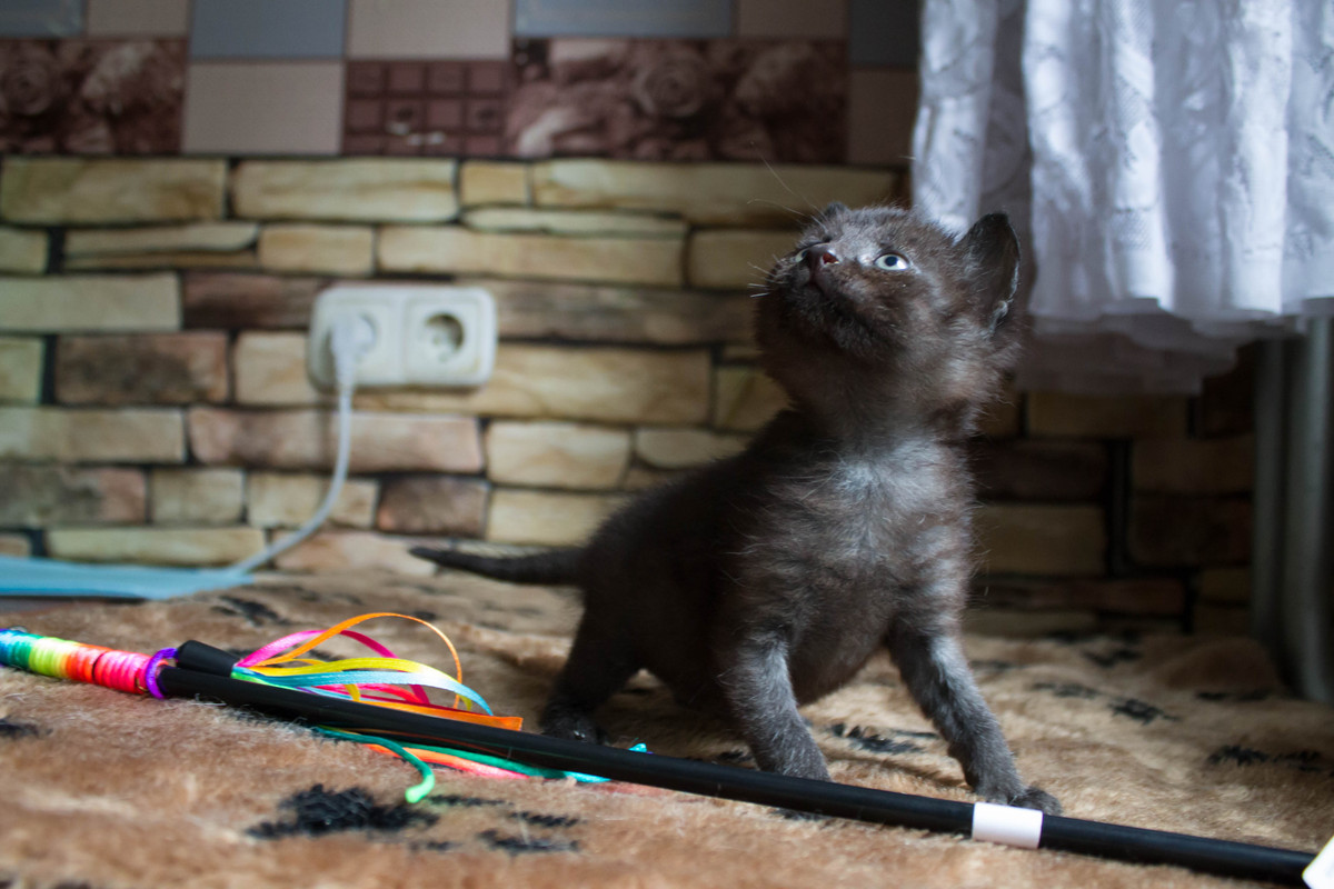 63C480D7-27A2-487A-8CC1-B22072106087