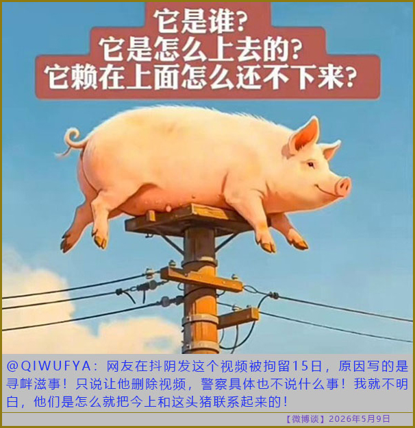 https://i.postimg.cc/HL8hy2tZ/20260509-bt-(8).jpg