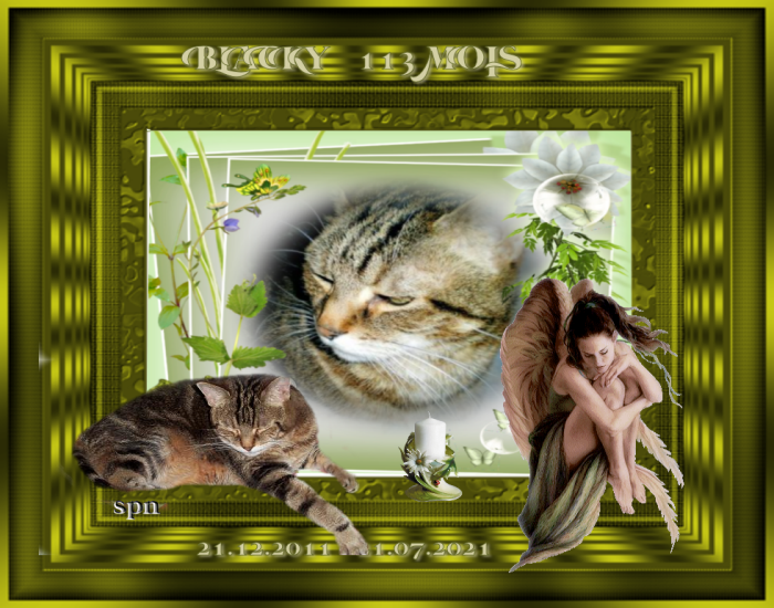 113-MOIS-BLACKY
