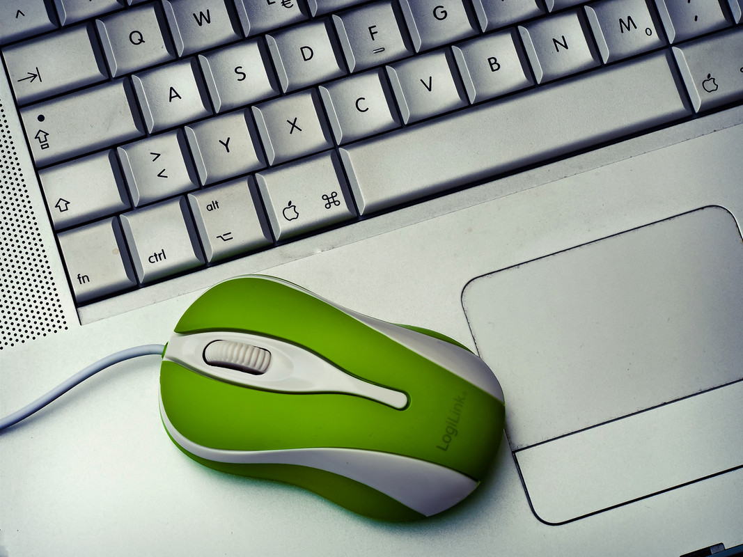 Canva-Green-Mouse-on-silver-Laptop.jpg