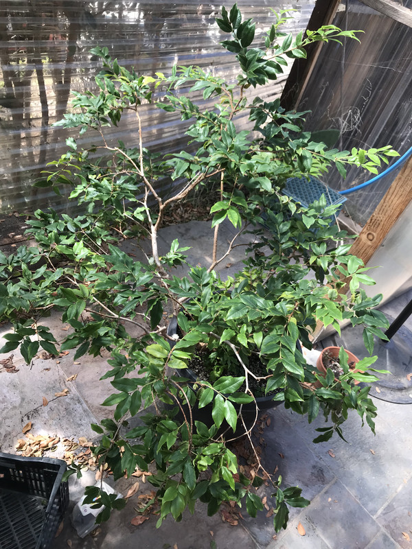 DE674FA7-DDB7-40E7-926D-0243A89ED17C