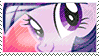mlp