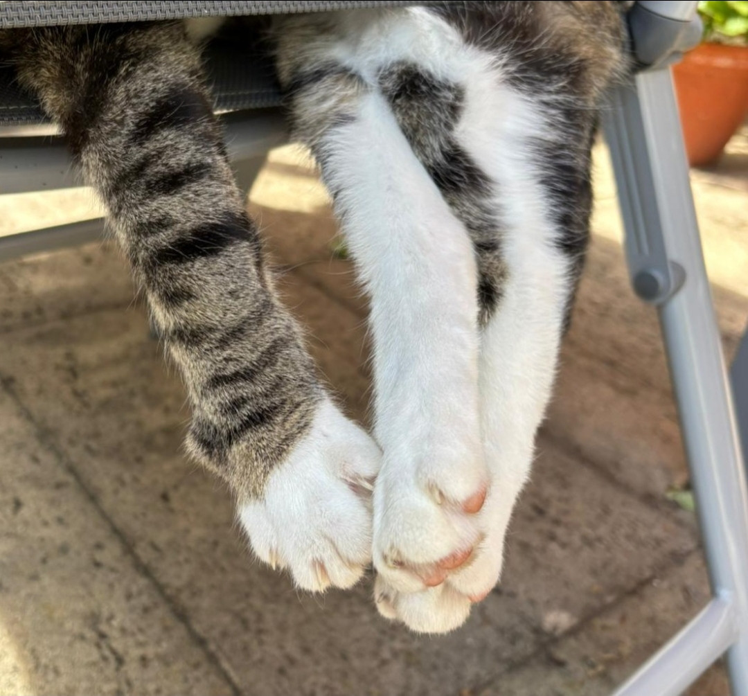 Screenshot 20260401 125612 Gallery