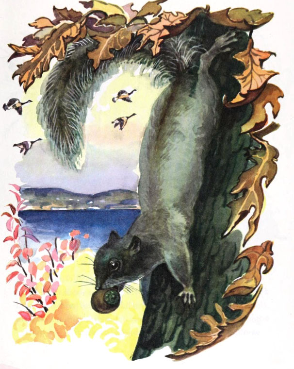14-11