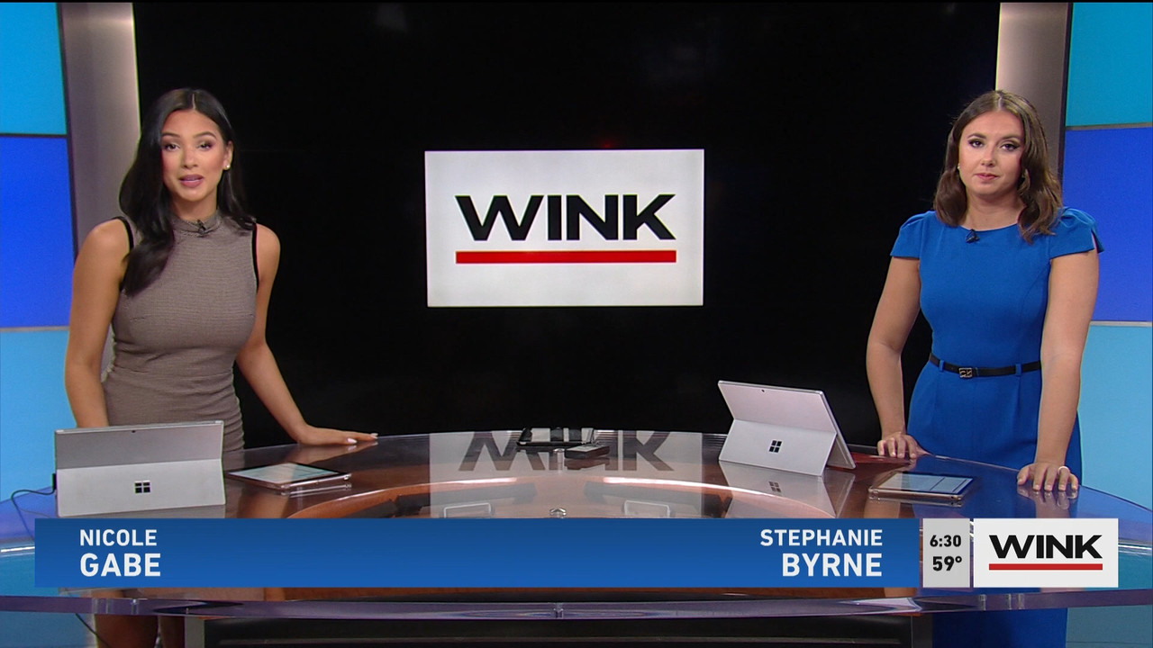03.13 - 11.00.00 - WINK News @ 6 00am..ts_snapshot_00.29.56.200