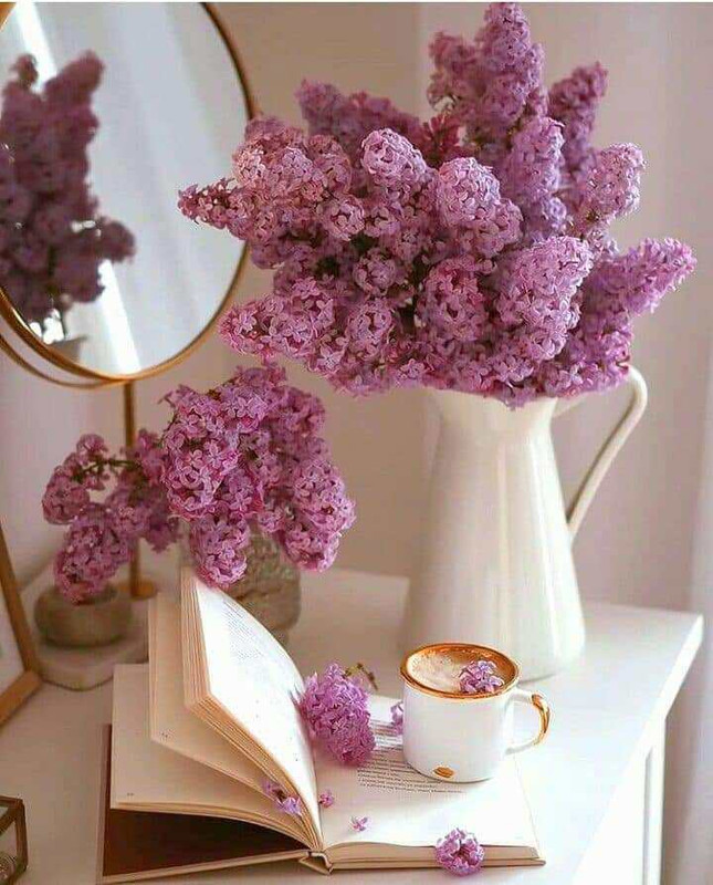 417924413_307073855328701_6772148562098587400_n