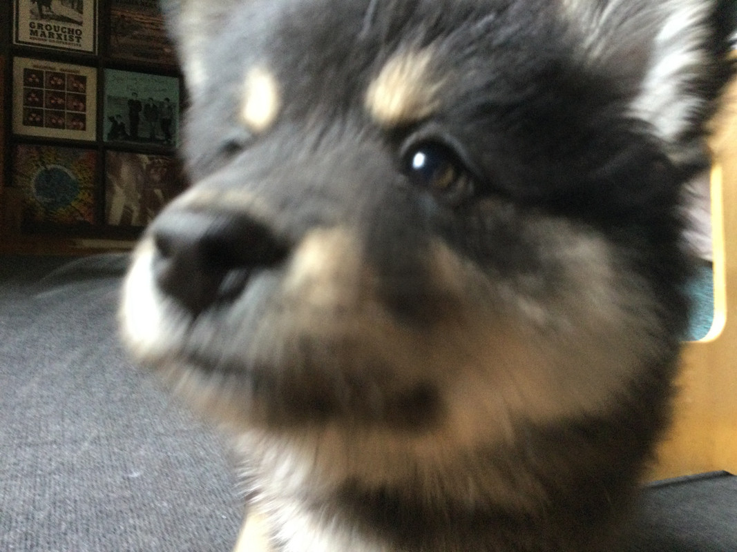 90DFEC0C-4849-4039-9379-5ABB5BAF498A