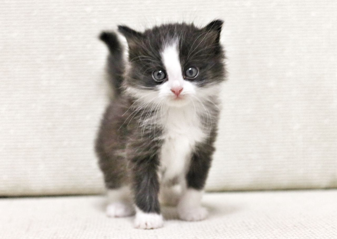 2659A8B8-3740-4F5E-AD57-1794AEC7E704