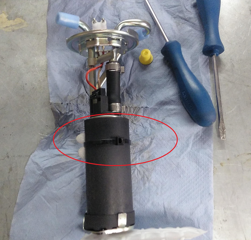 IMG_20210202_100719_600 - copia