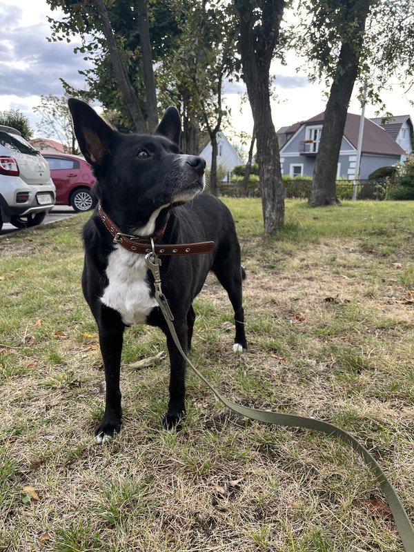 0BCA28D4-49AD-4D4C-9468-03AA9DF4370B