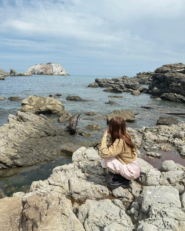 baifernbah-1735202756-3531459133587793387-14191865