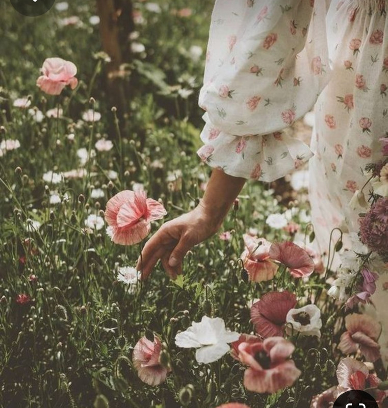 Screenshot_20240609_144550_Pinterest