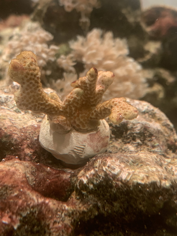 9D82C241-5E90-4E70-89A1-5A236DAFB262