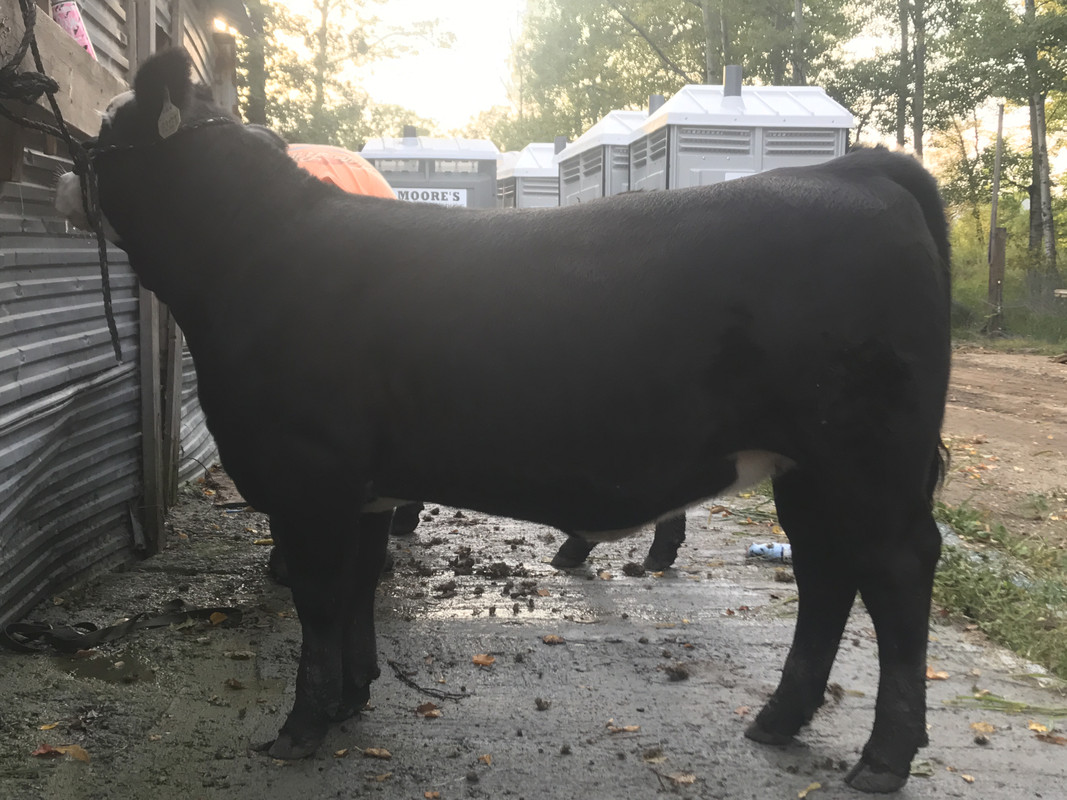 0C8A3494-85C3-43EE-B8DC-C2D6F34E29F6