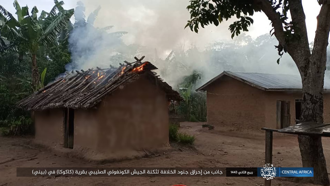 photo_2021-11-22_18-31-52 (1)