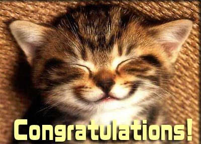 congratulations-cat.jpg
