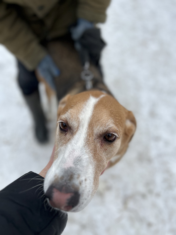 AFEBC59A-E157-4DEA-A7C0-501B45A7514E