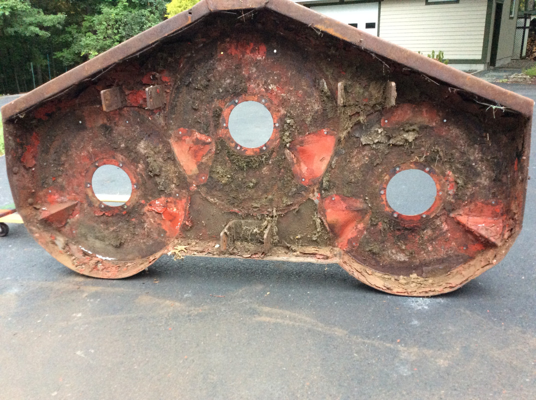 3139C205-8445-4D65-BA7A-2932DF4F4C21