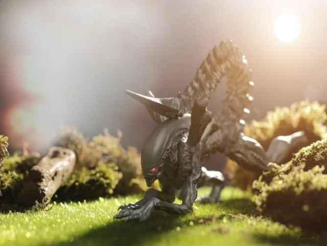 微信截图_20200713153027